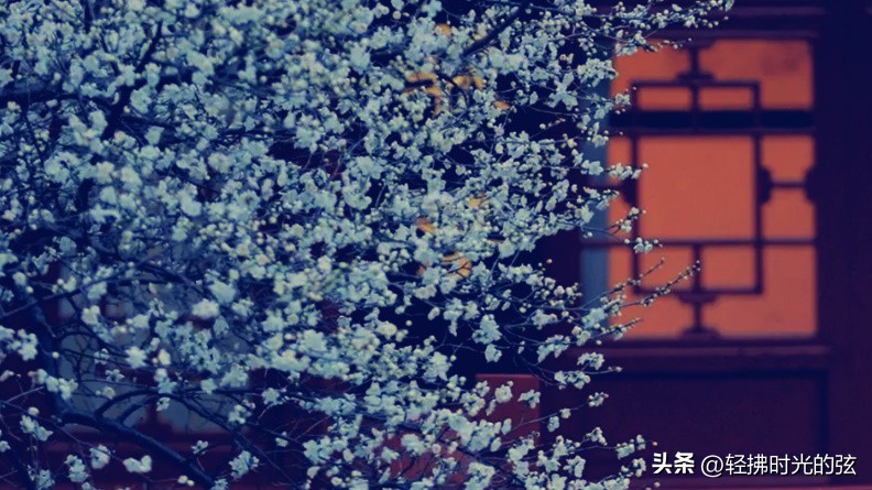 关于明月的诗唐诗宋词,最美明月唐诗宋词