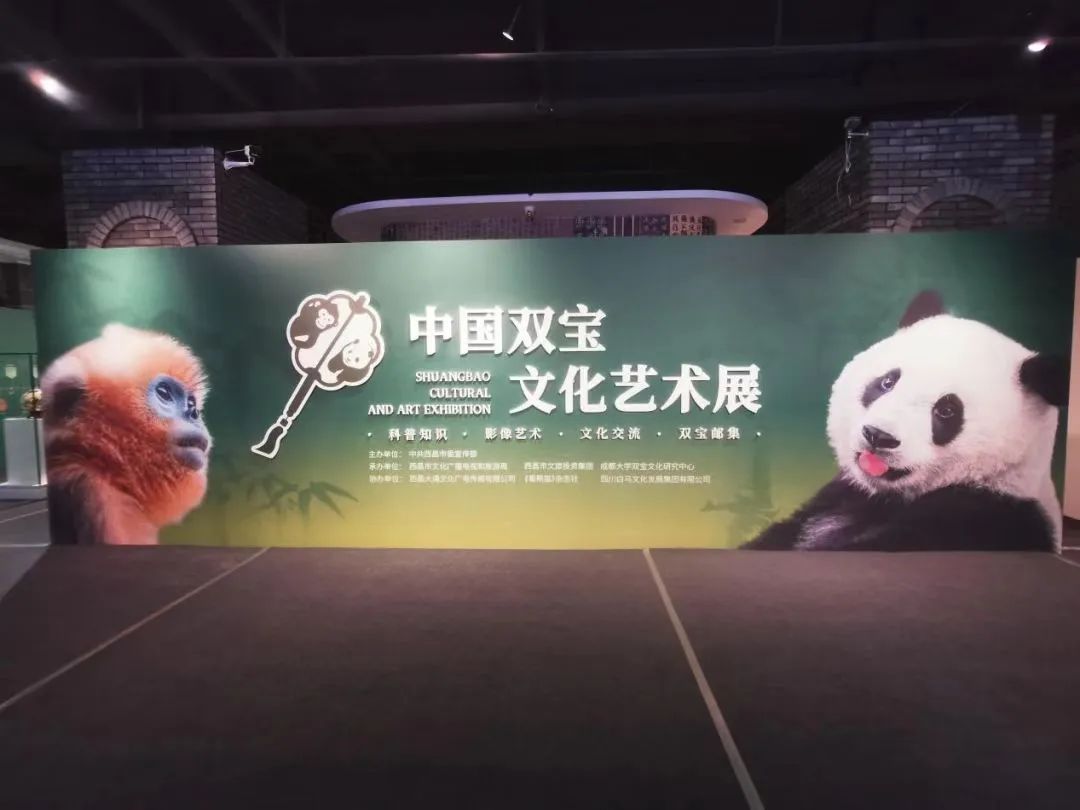 西昌文旅 (四川西昌文旅)