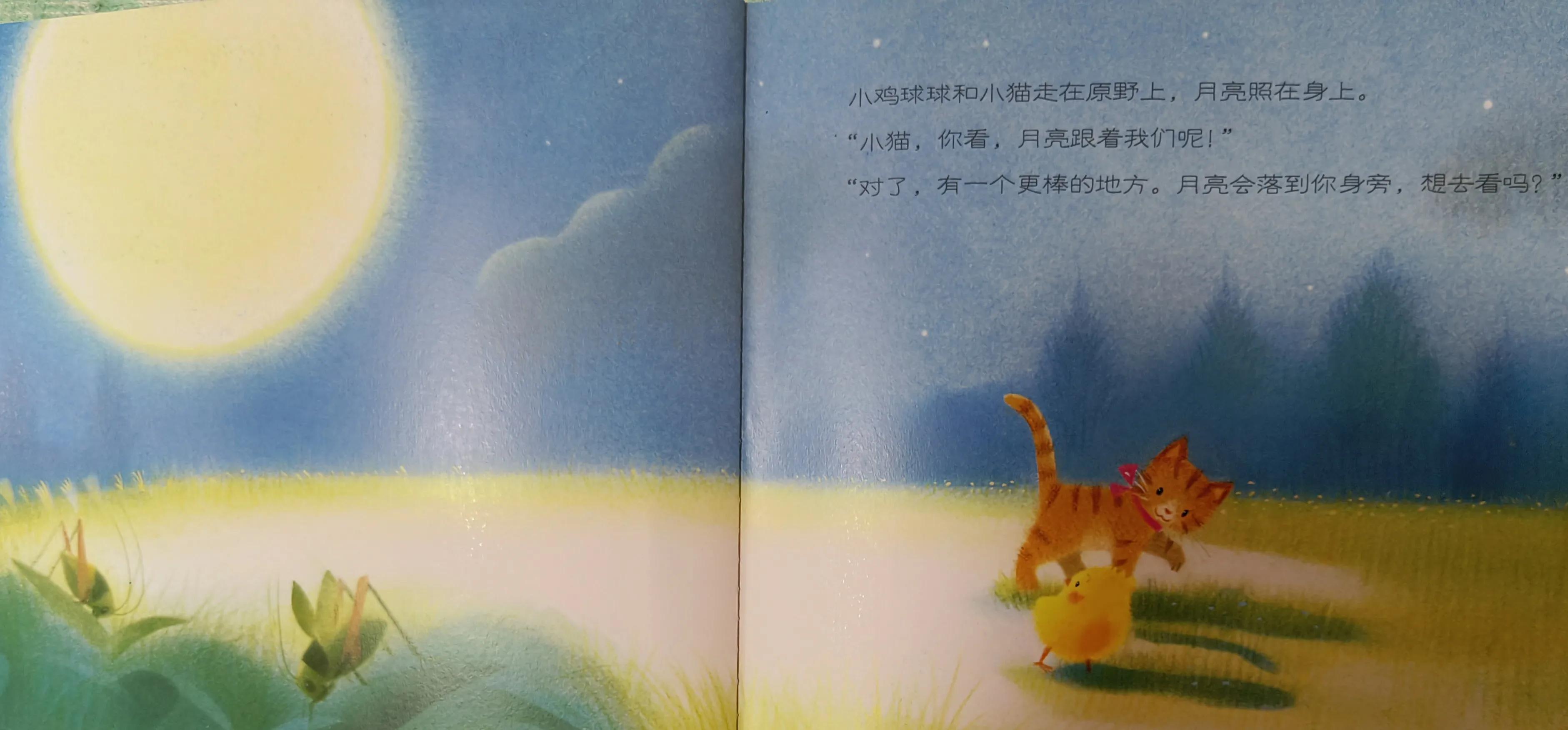 GoodNightChickBall!晚安！小鸡球球！暑假家庭双语剧系列