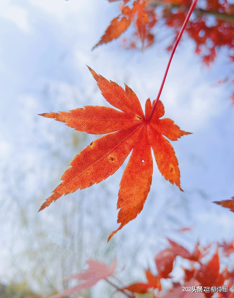 照片拍出来难看怎么修图,照片不能瞎拍