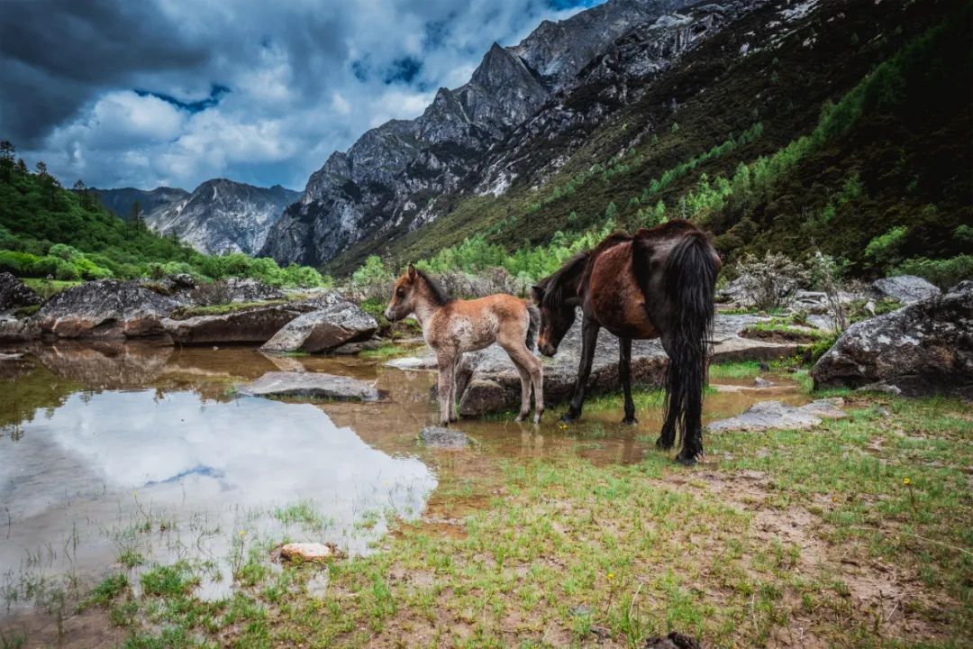 上有天堂下有西藏,上有天堂下有云南