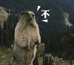 你不知道的国家冷知识乌拉圭,你不知道的国家冷知识巴拉圭篇