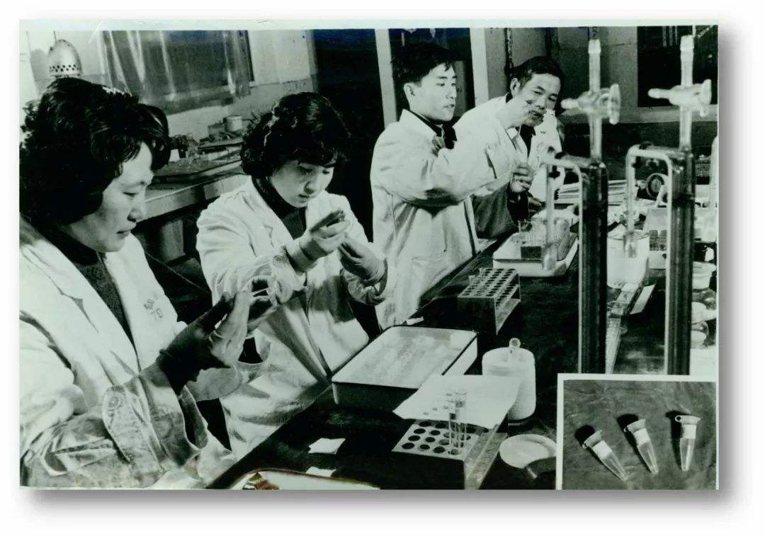 球王贝利国足,中国国足和球王贝利