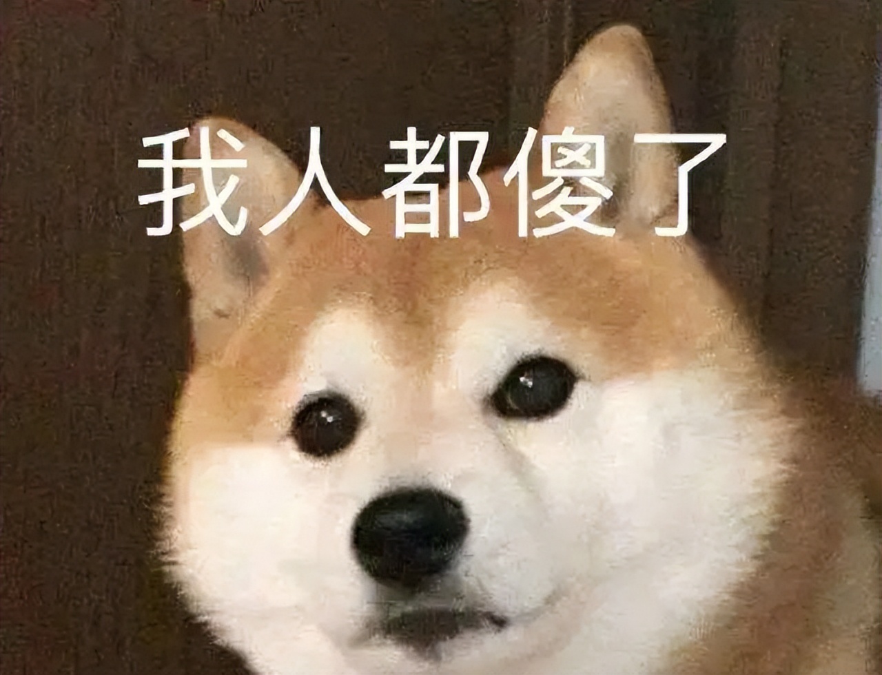 一场世界杯都让谁赚钱了,世界杯最赚钱的是谁