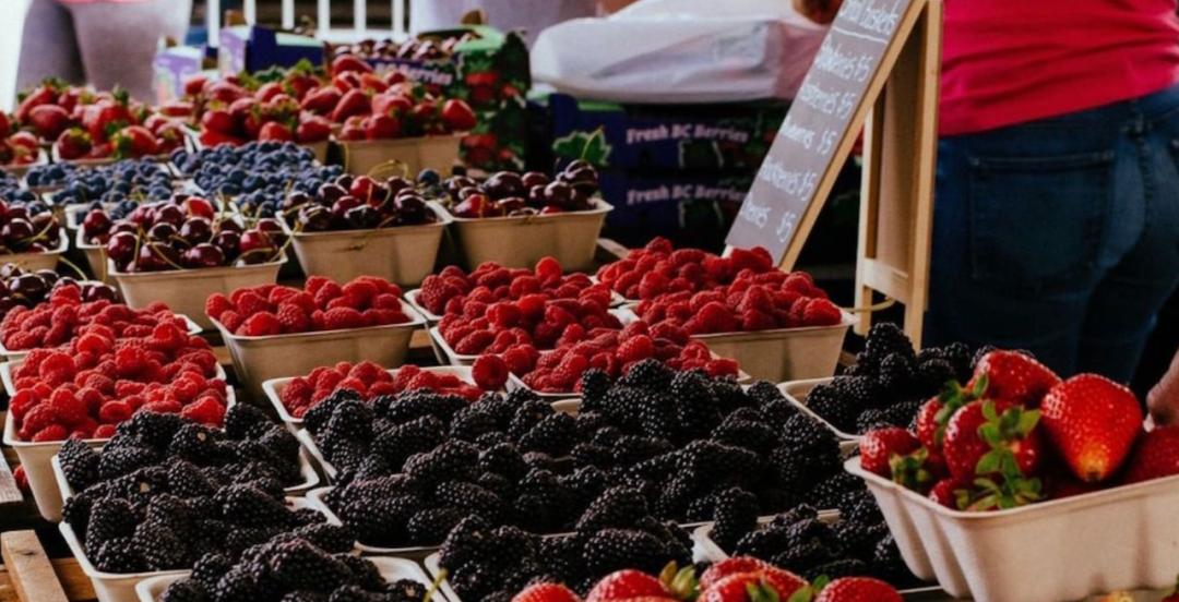 七月份温哥华旅游攻略,温哥华有什么好玩必去的地方