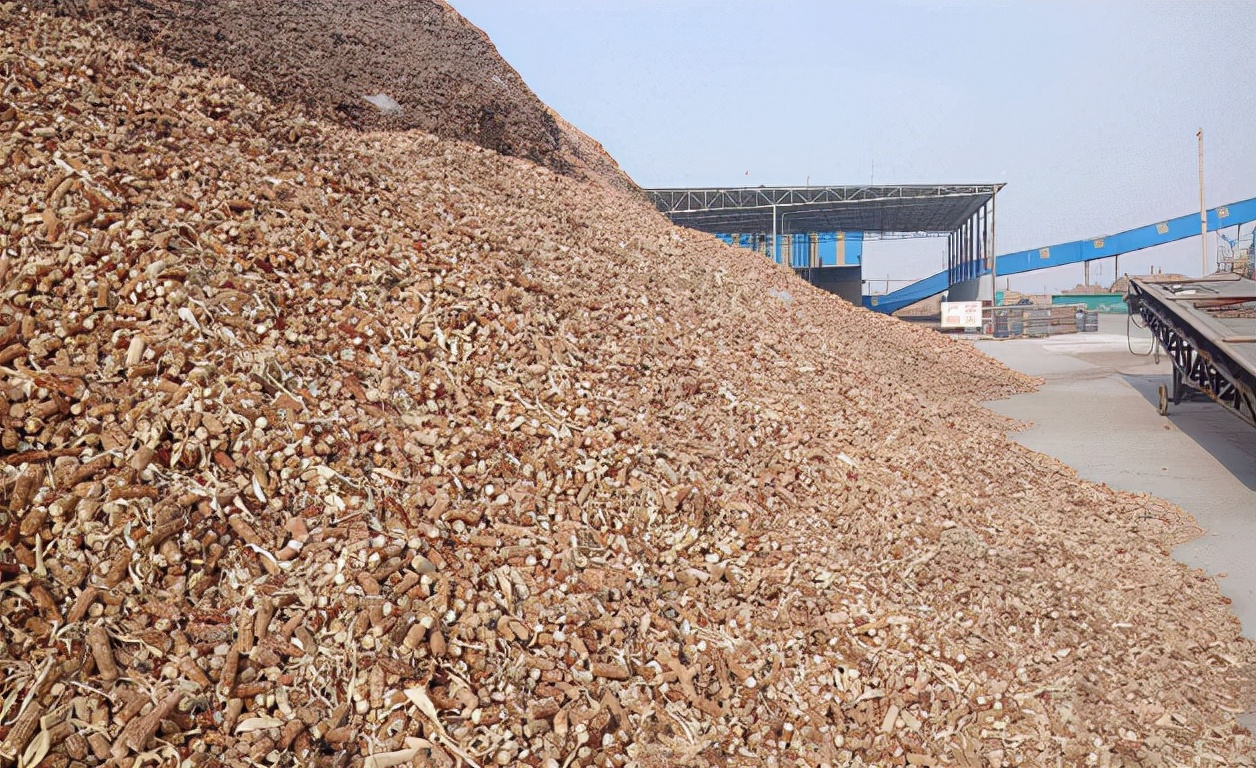 为什么玉米芯在韩国如此值钱,玉米芯卖到韩国挣钱吗