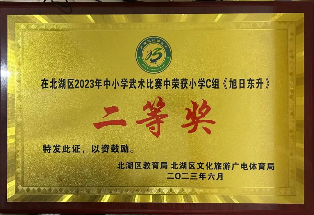 南燕小学,郴州市南燕小学成绩排名
