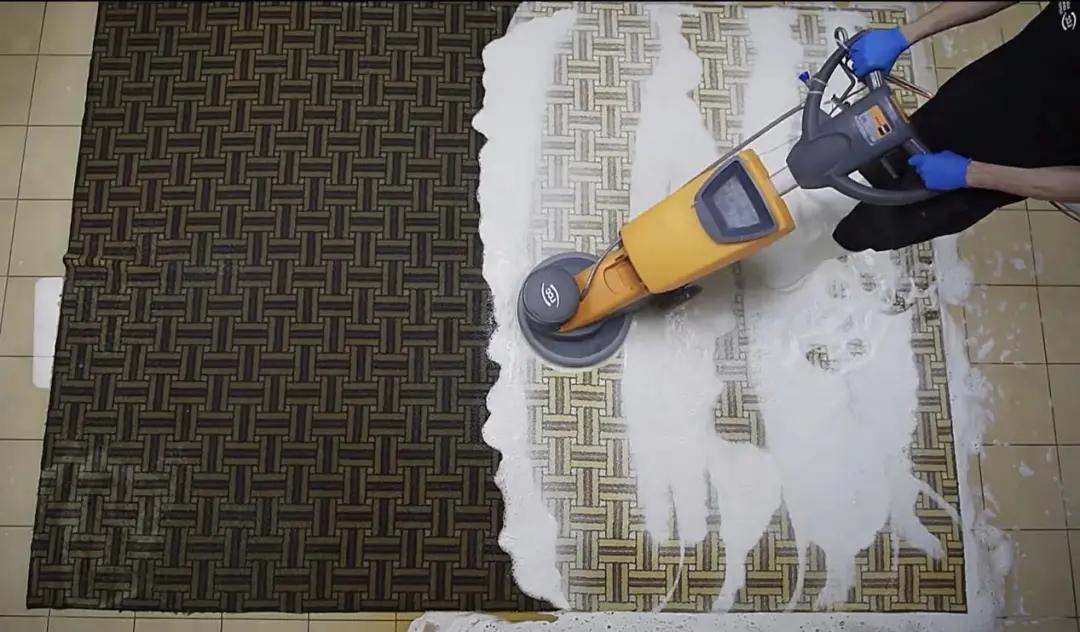 解压赶海撬鲍鱼,解压视频赶海挖东西