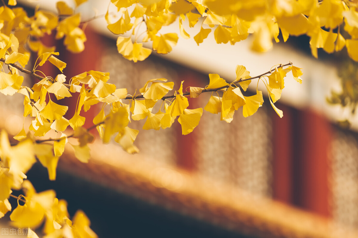 清太宗皇太极第十三代嫡孙,清太宗爱新觉罗