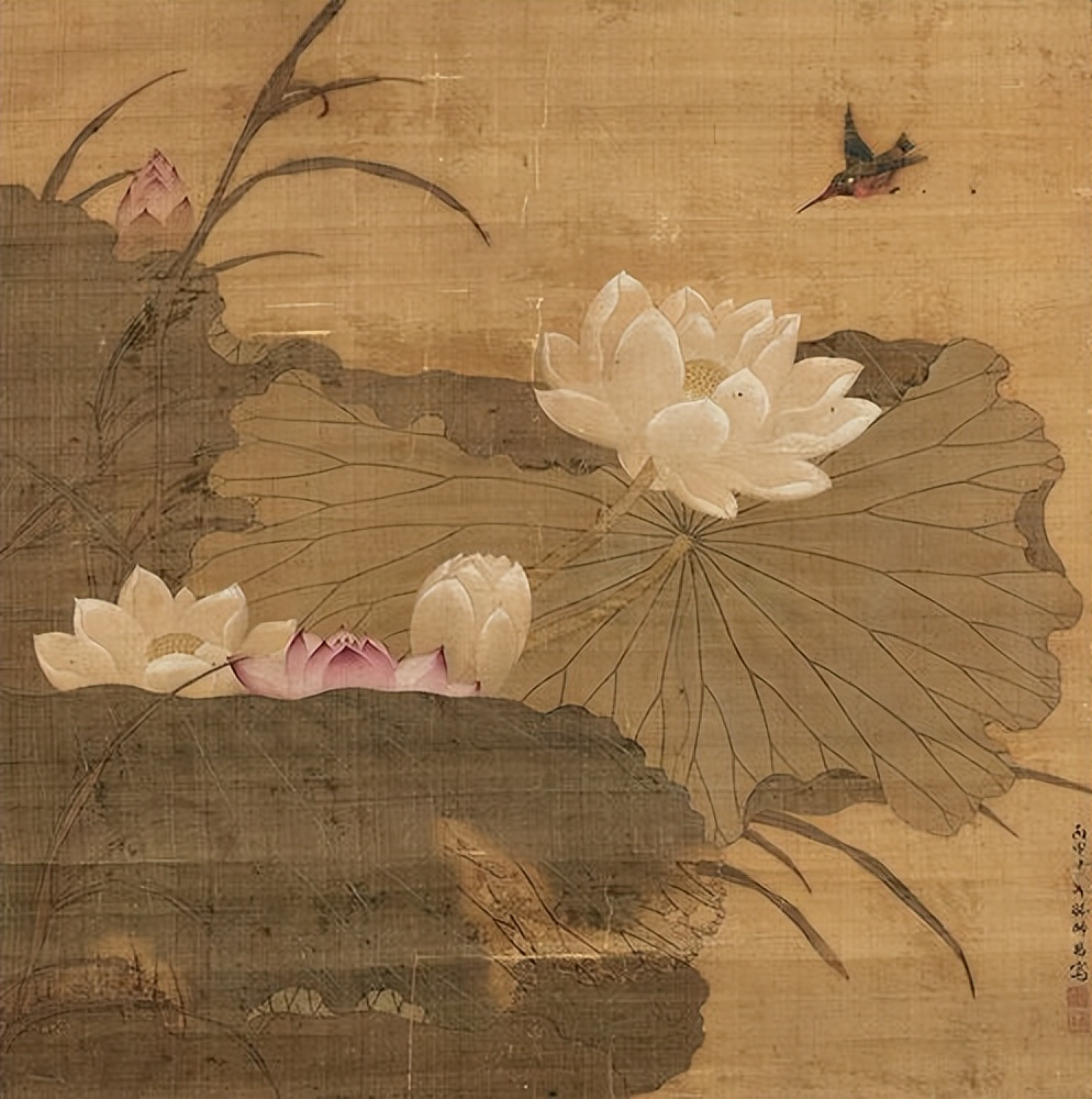 佛教选莲花而不是荷花,荷花与莲花在佛家有何意义