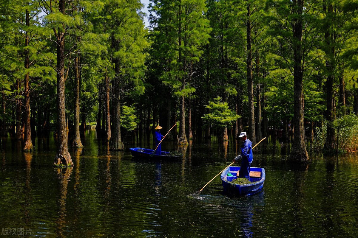 上海最新免费游玩景点推荐,上海旅游必去的五个免费景点
