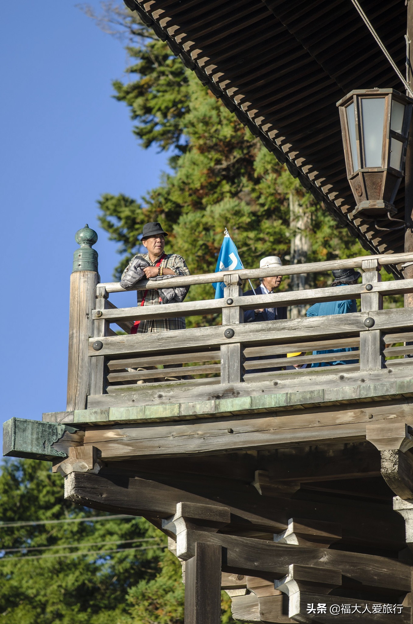 奈良看小鹿片段,奈良看小鹿和樱花