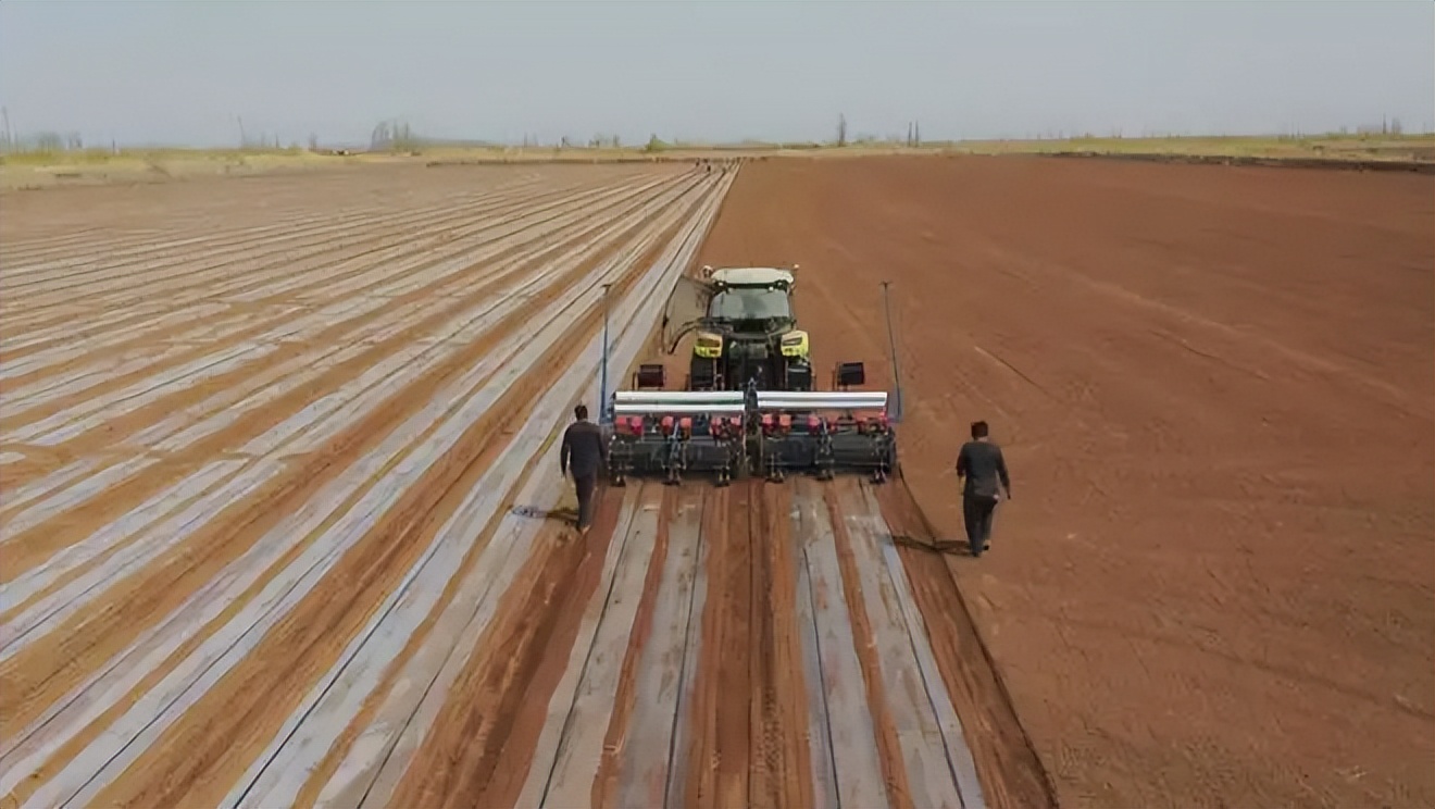 农村土地承包经营权流转现状,农村土地流转现状