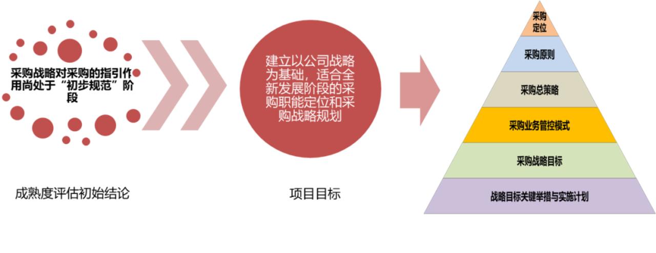 采购典型案例分析,采购管理的核心竞争力提升策略
