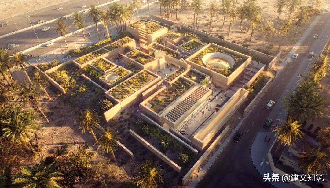 waf2023世锦赛,waf国内排名