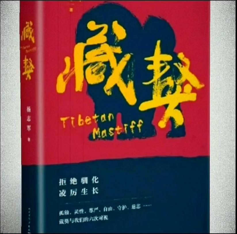 藏獒:中国的郁金香泡沫