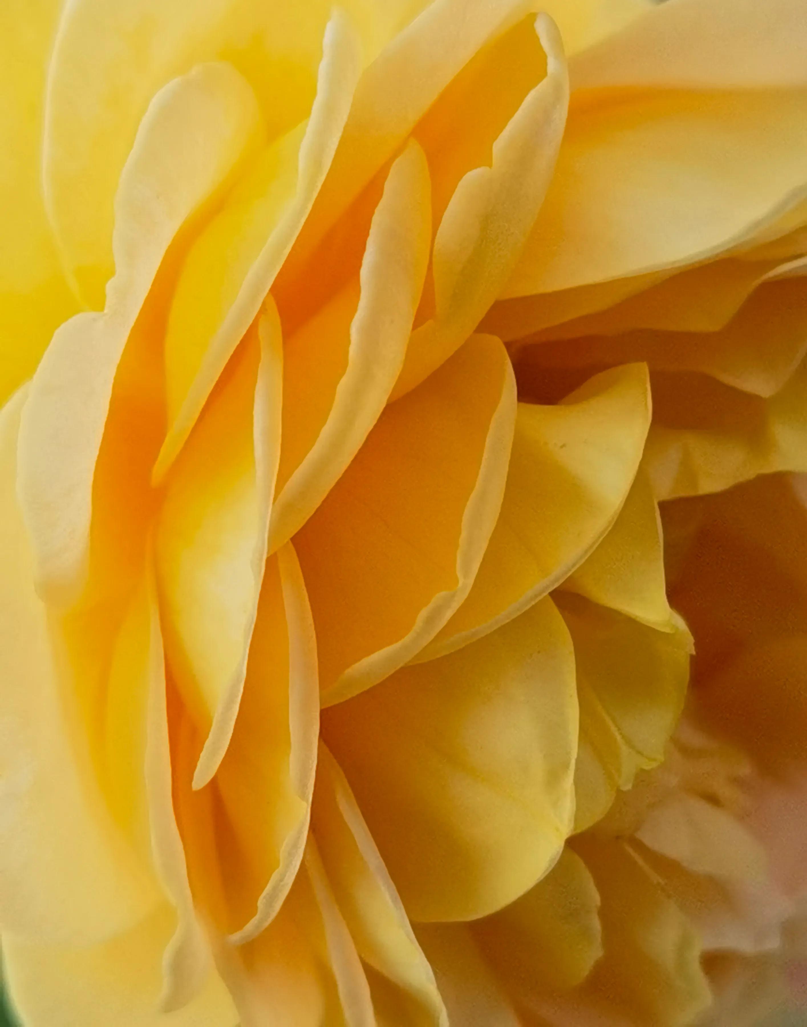 手拍世界近期作品,手拍世界完整版视频