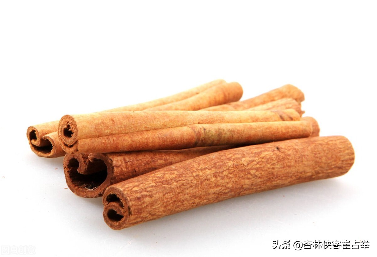 从养生角度看舌头应该放哪,补脾胃最好的舌头图解