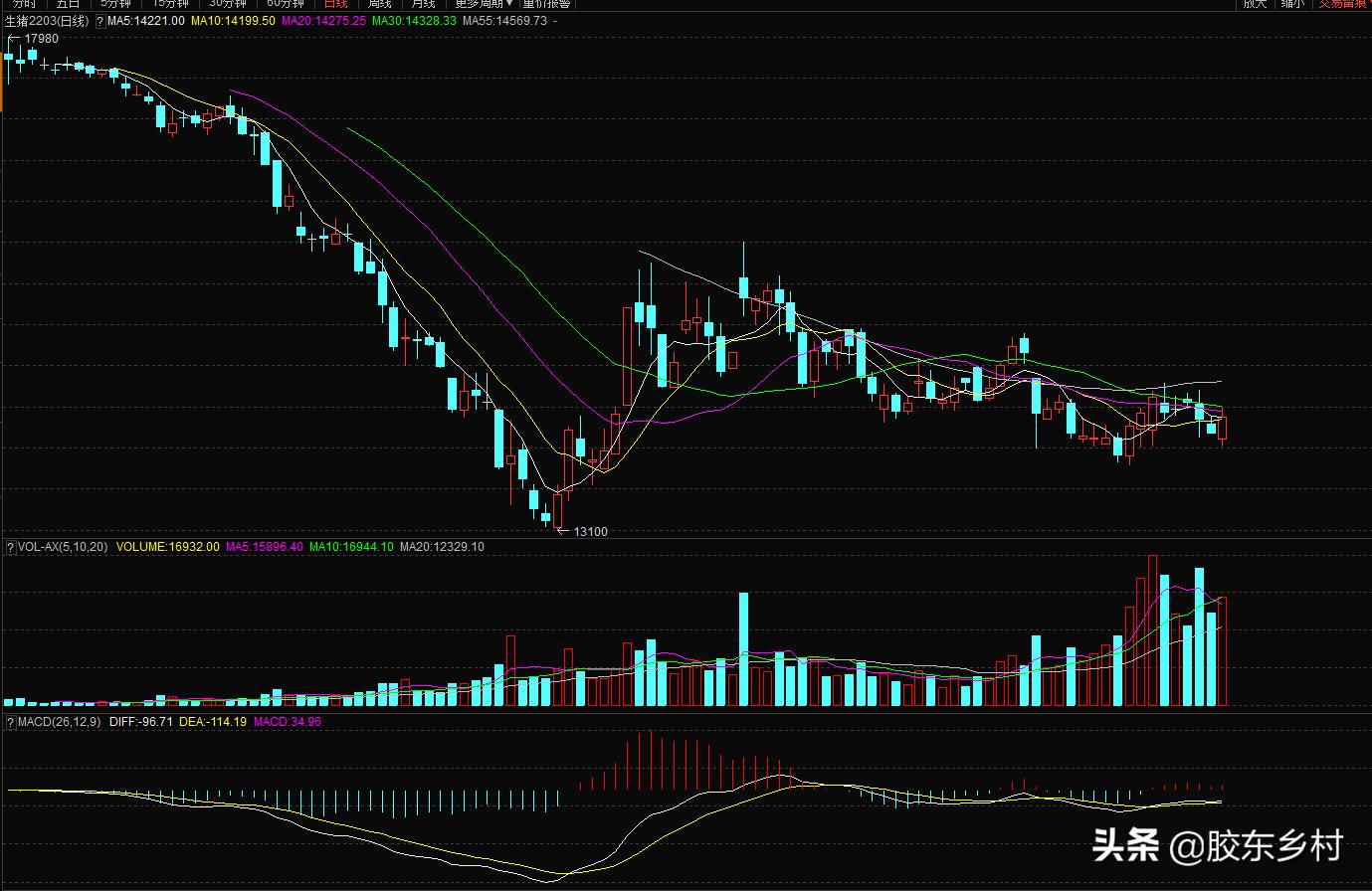 2022年三屠共猪，春节猪肉会涨价吗？科学分析比农村谚语更靠谱