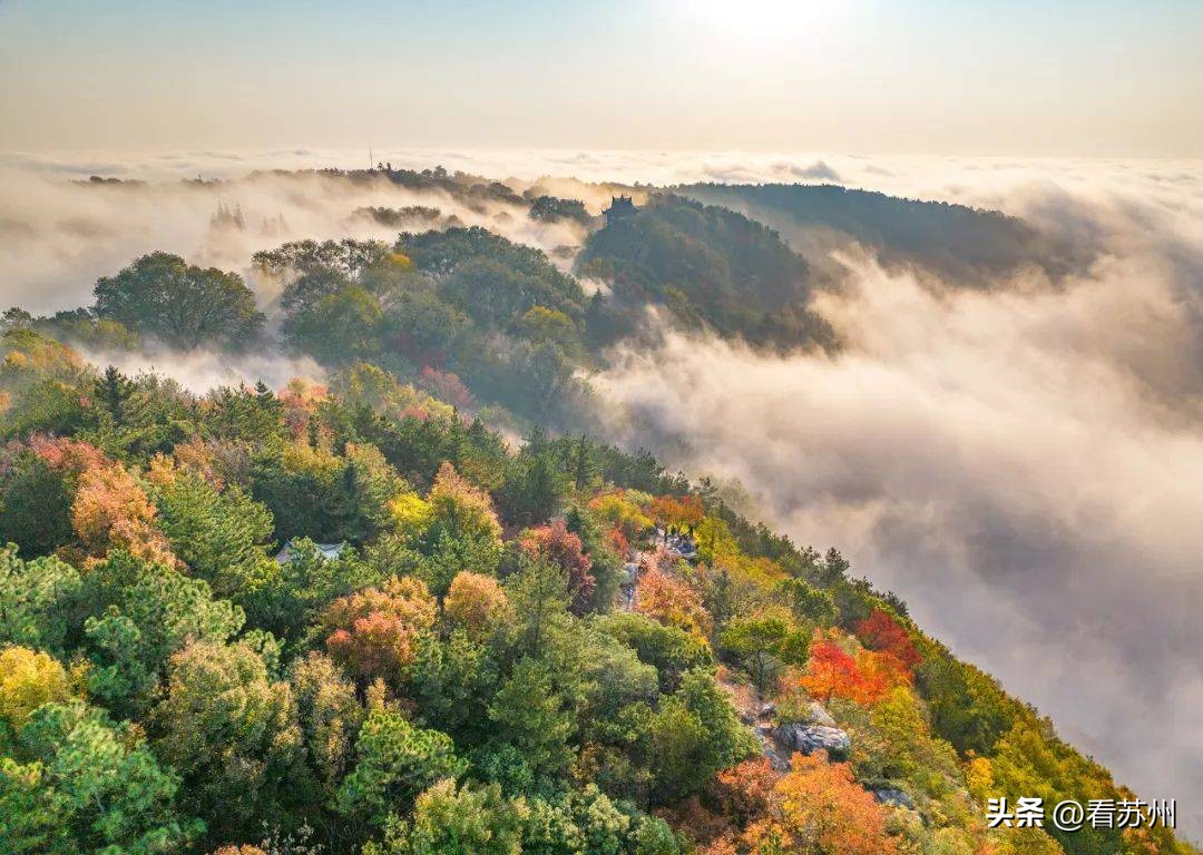 苏州最具有地方特色的美食,苏州有哪些著名的美食