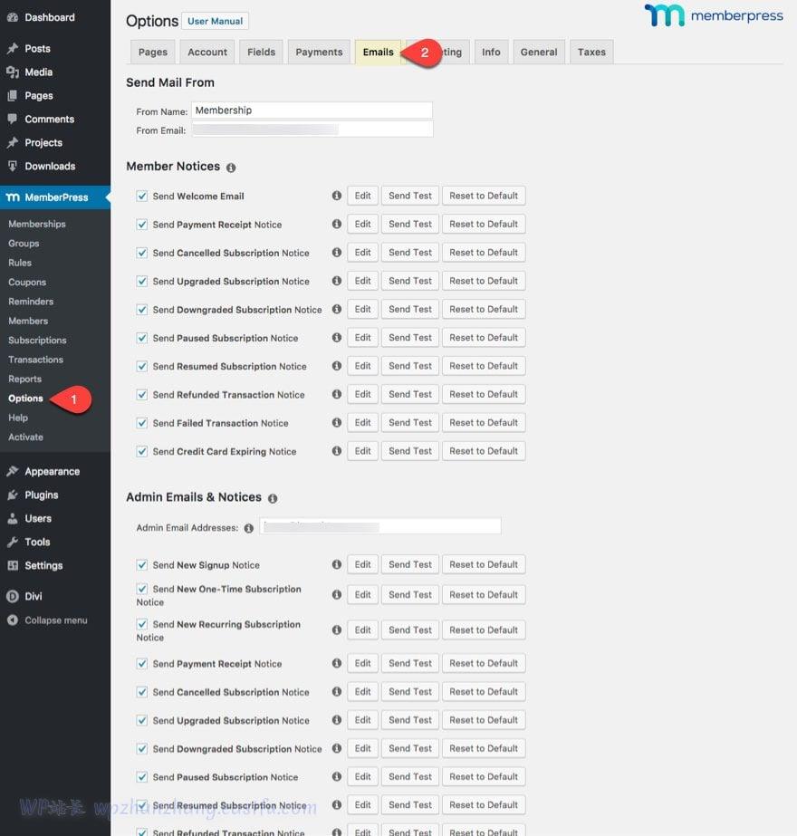 divi使用教程,divi网站搭建