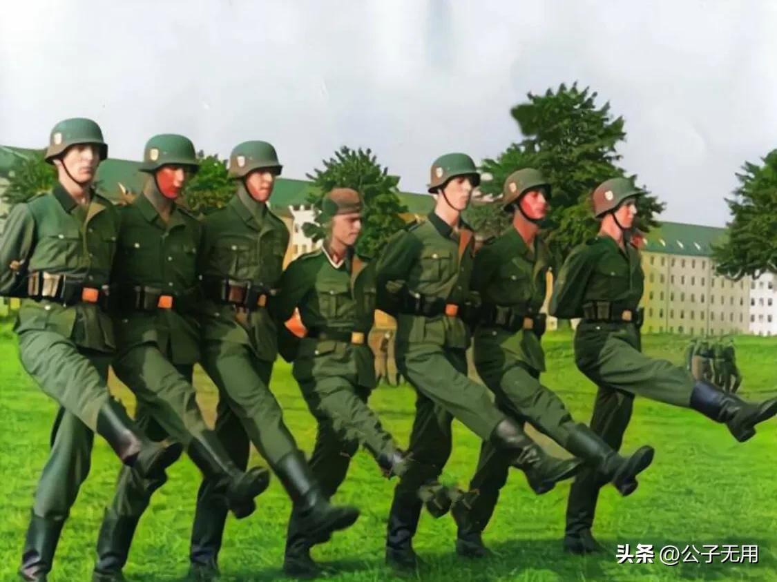 二战德国*党**卫军38个师：各师师徽标志，番号及编制简介（下篇）