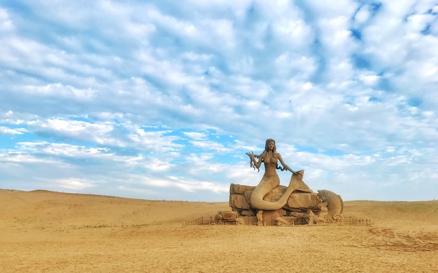 正宗宁夏红枸杞风景,宁夏红色枸杞