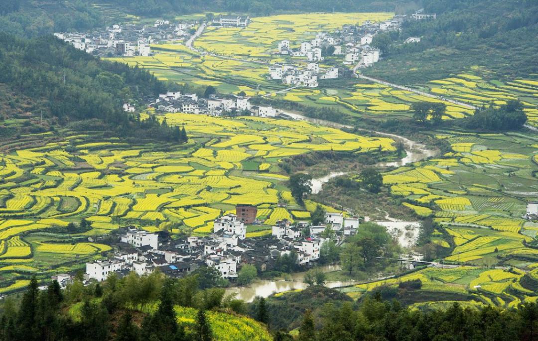 2022品牌价值排行榜区域品牌,2022十大家具品牌