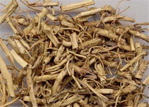 中草药识别,中草药手抄报