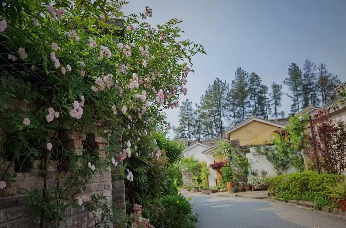 綦江清风场航拍,綦江清风场天气