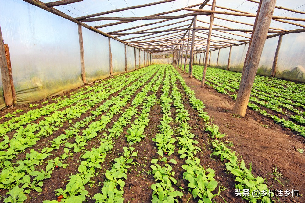 <html>
<head><title>502BadGateway</title></head>
<body>
<center><h1>502BadGateway</h1></center>
<hr><center>nginx</center>
</body>
</html>
<!--apaddingtodisableMSIEandChromefriendlyerrorpage-->
<!--apaddingtodisableMSIEandChromefriendlyerrorpage-->
<!--apaddingtodisableMSIEandChromefriendlyerrorpage-->
<!--apaddingtodisableMSIEandChromefriendlyerrorpage-->
<!--apaddingtodisableMSIEandChromefriendlyerrorpage-->
<!--apaddingtodisableMSIEandChromefriendlyerrorpage-->
