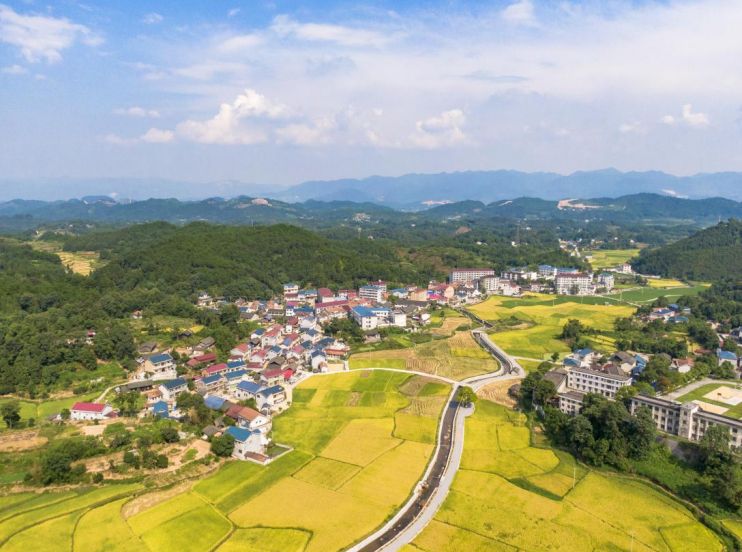 首批乡村振兴赋能计划典型案例,最新乡村振兴策略