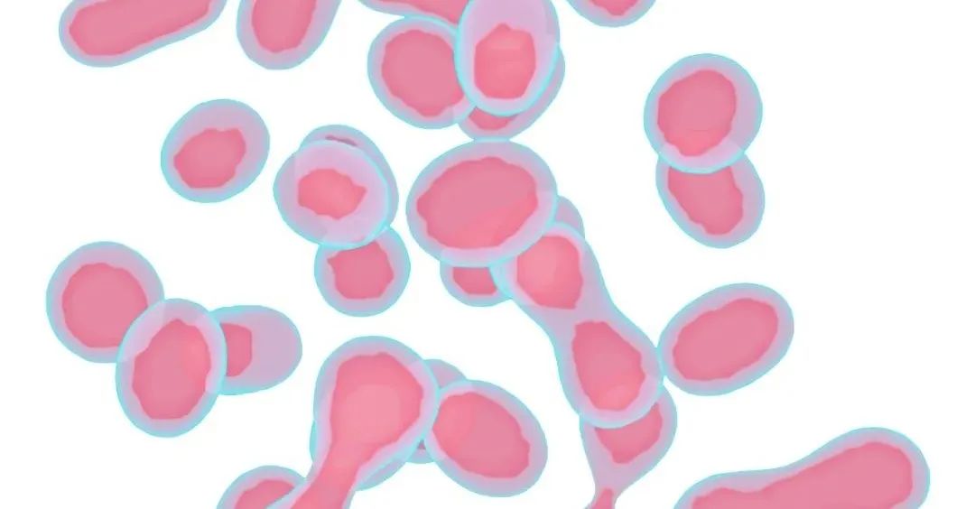 肝硬化干细胞移植改善肝功能,干细胞治疗秒懂