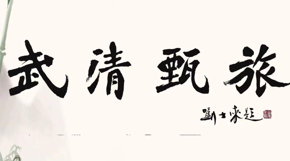 乡村振兴吸引创业群体,农村青年创业和正能量