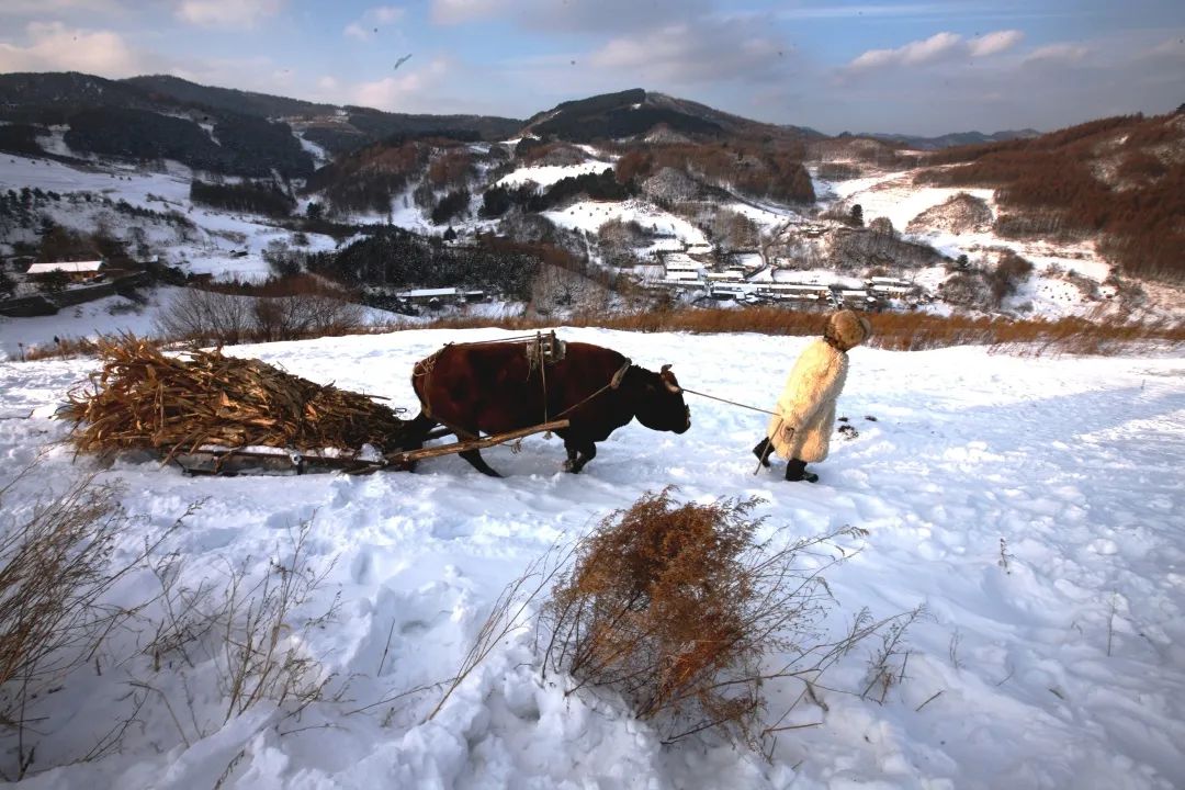 燃情冰雪相约冬奥,燃情北京冬奥共赴冰雪之约