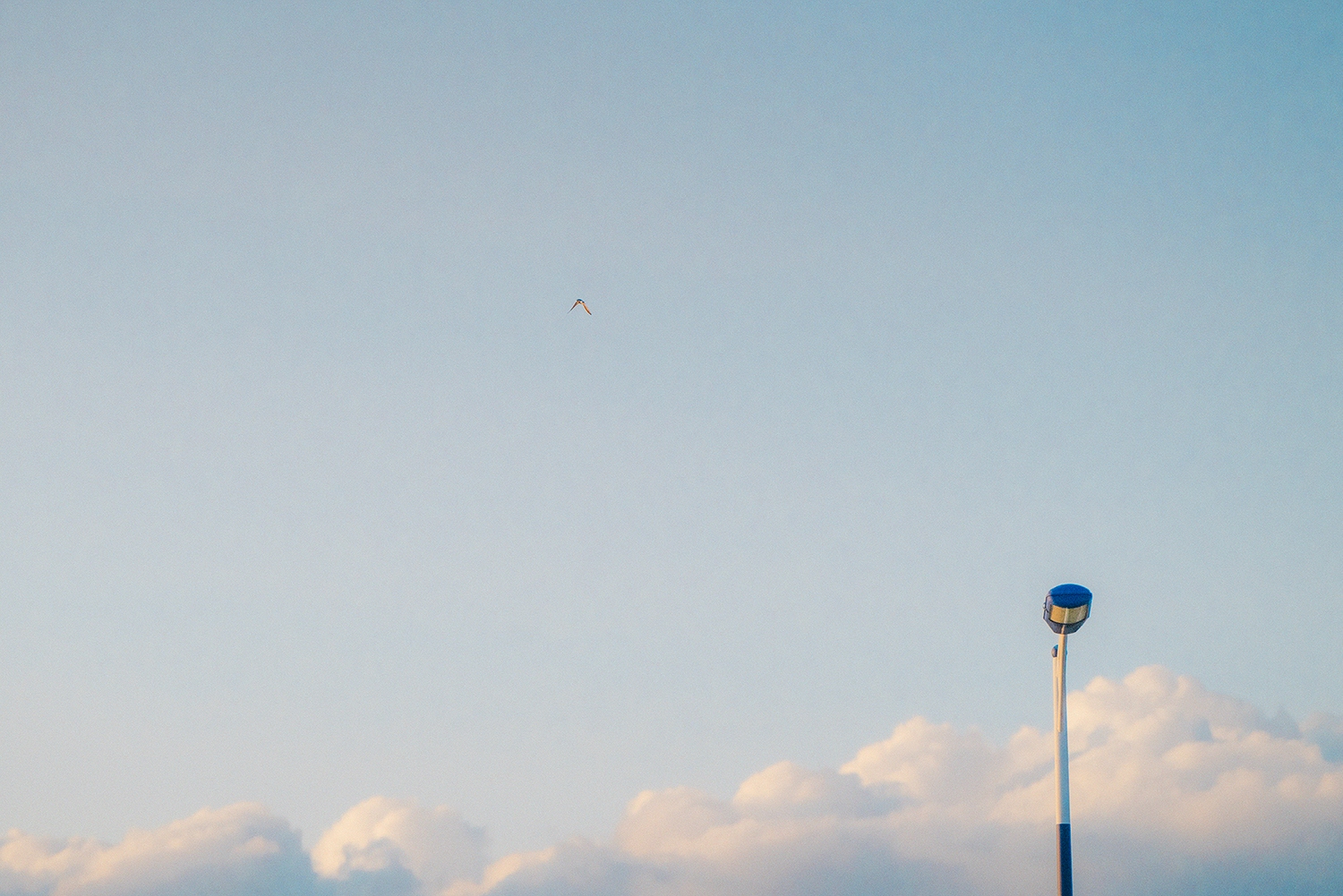 领略“可汗之湖”尼康小三元*疆新**试用手记