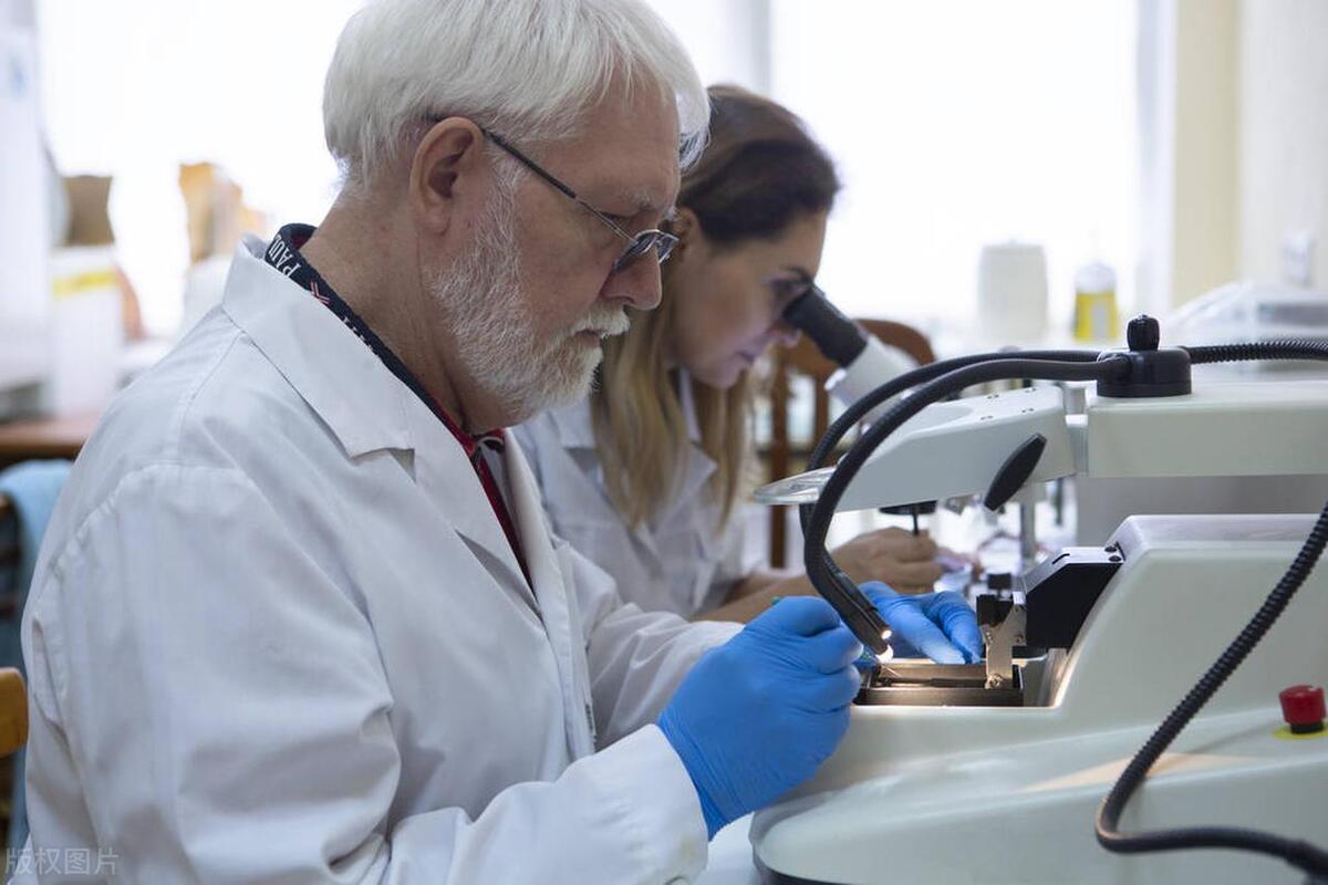 生物医学专业排名,生物科学类专业中哪个专业最好