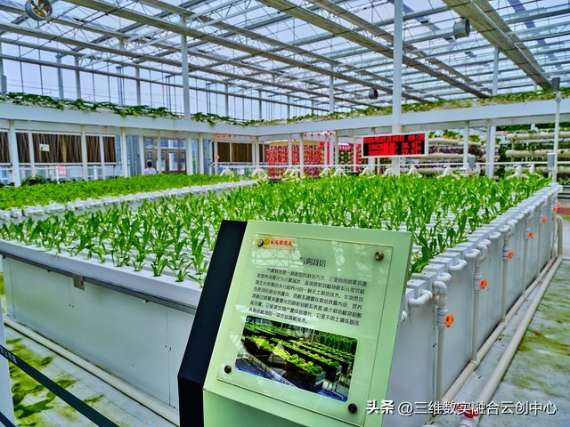 农业发展重点突破,农业创新发展模式