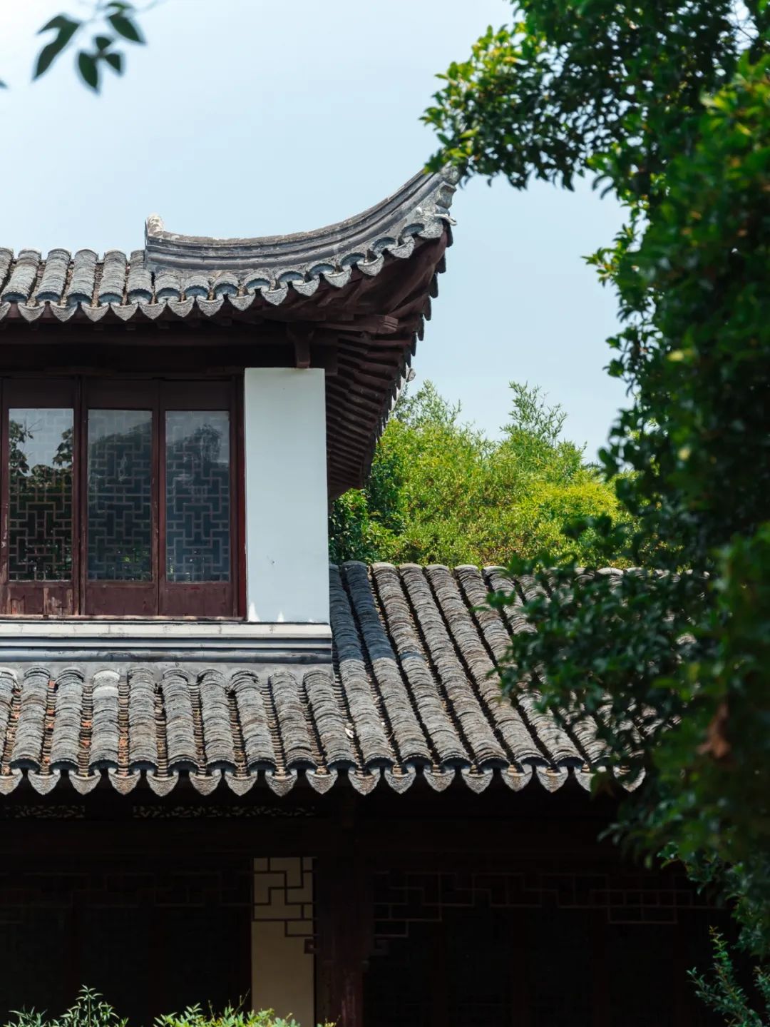 520年一遇，2022上海最浪漫打卡地出炉