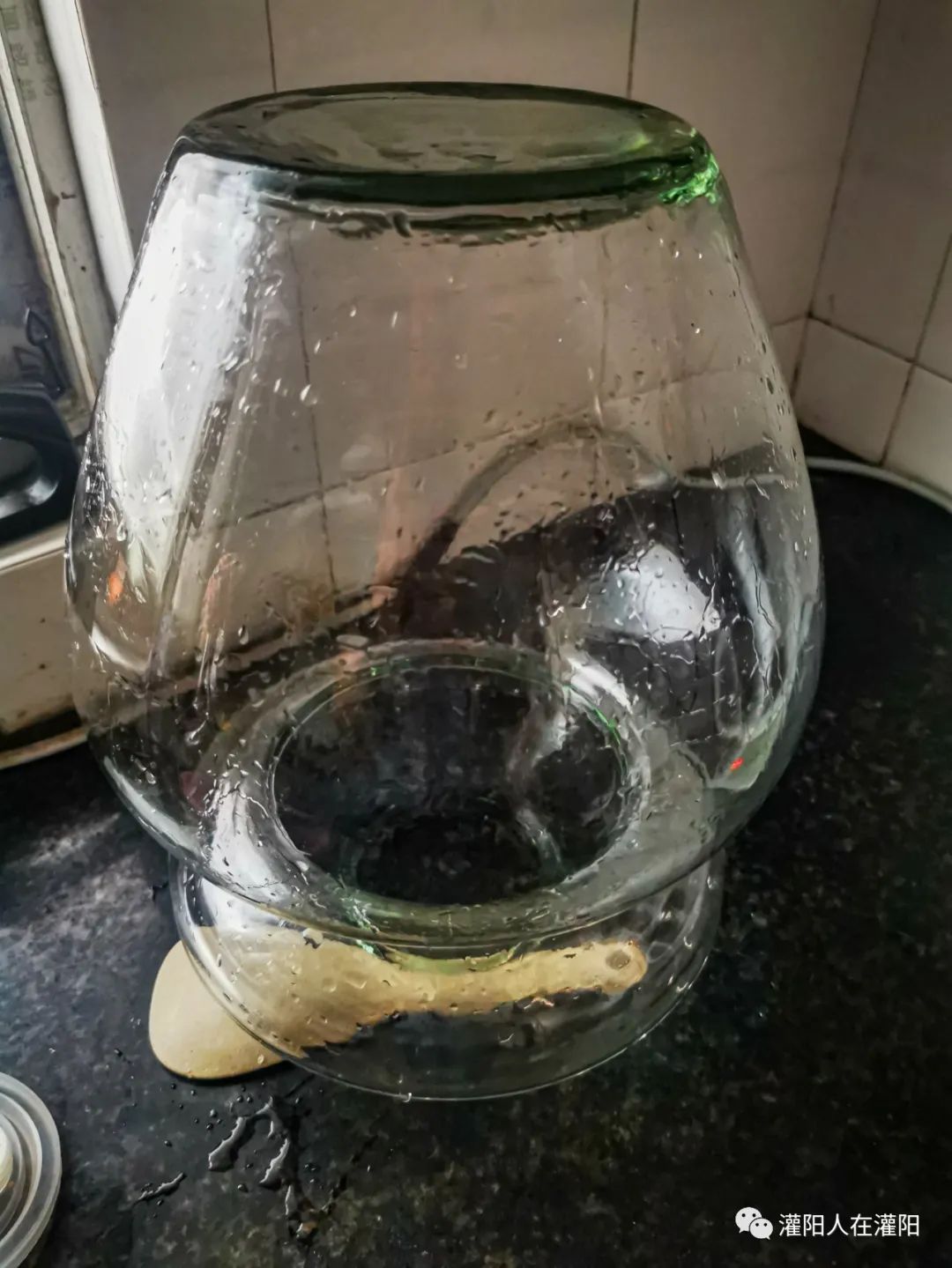 做酸坛子的视频,做酸坛有小气泡