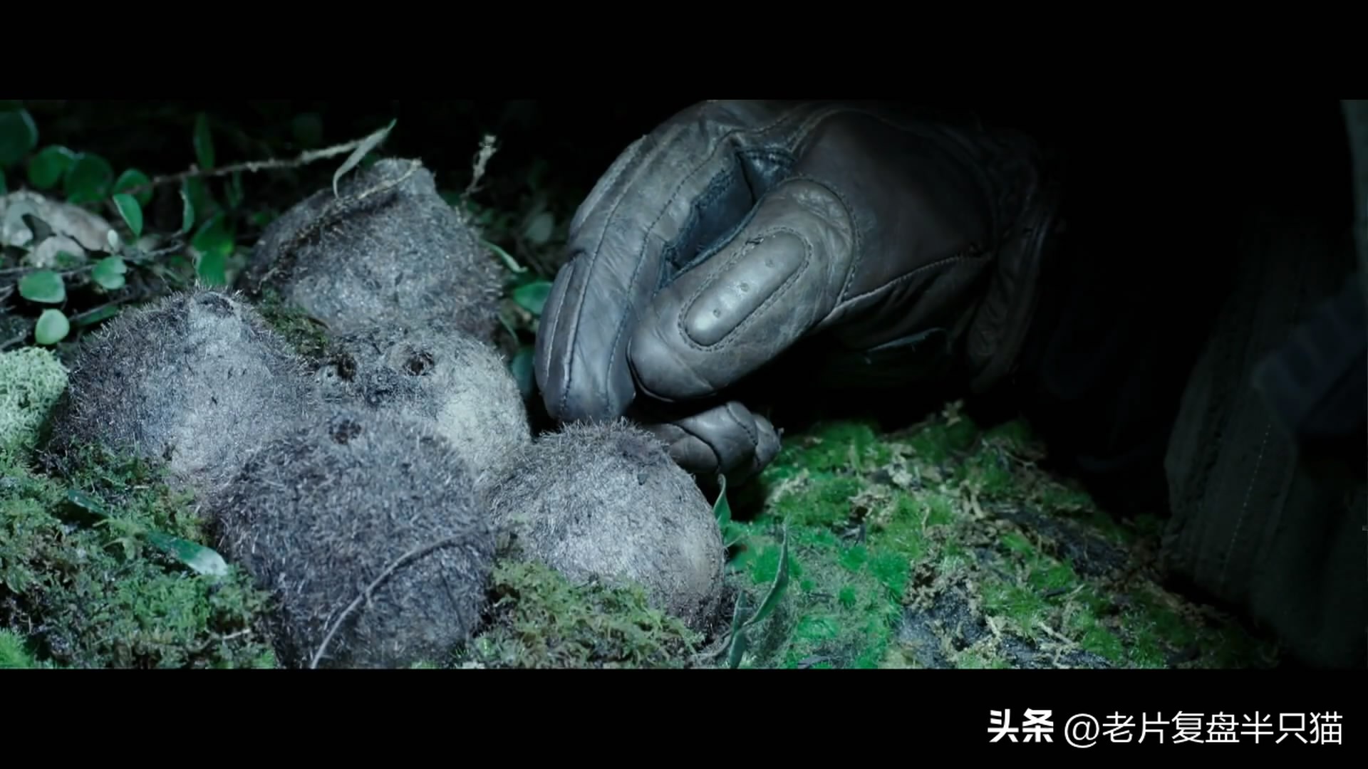 仿生人大卫的秘密,仿生机器人大卫