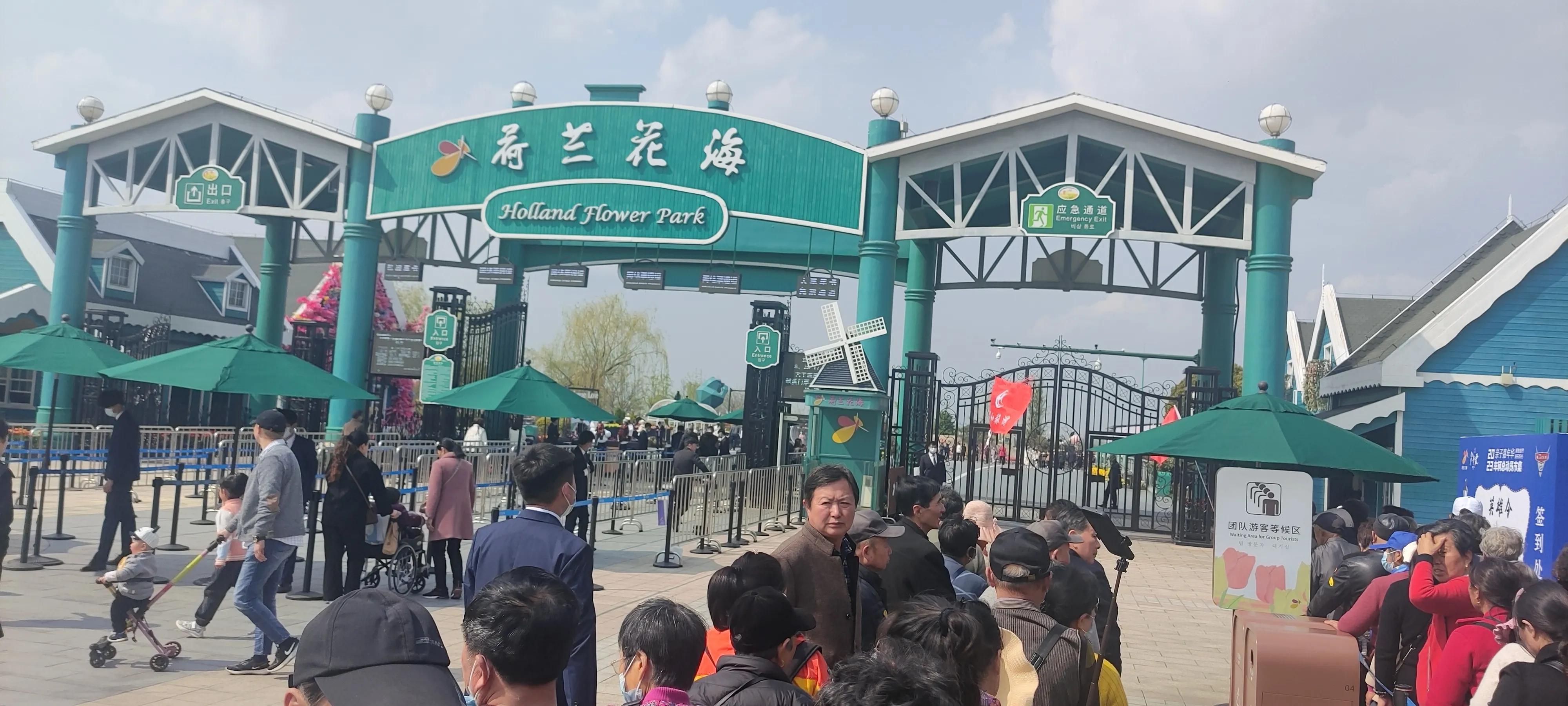 跟旅行团游荷兰花海,荷兰花海门票送鸭蛋