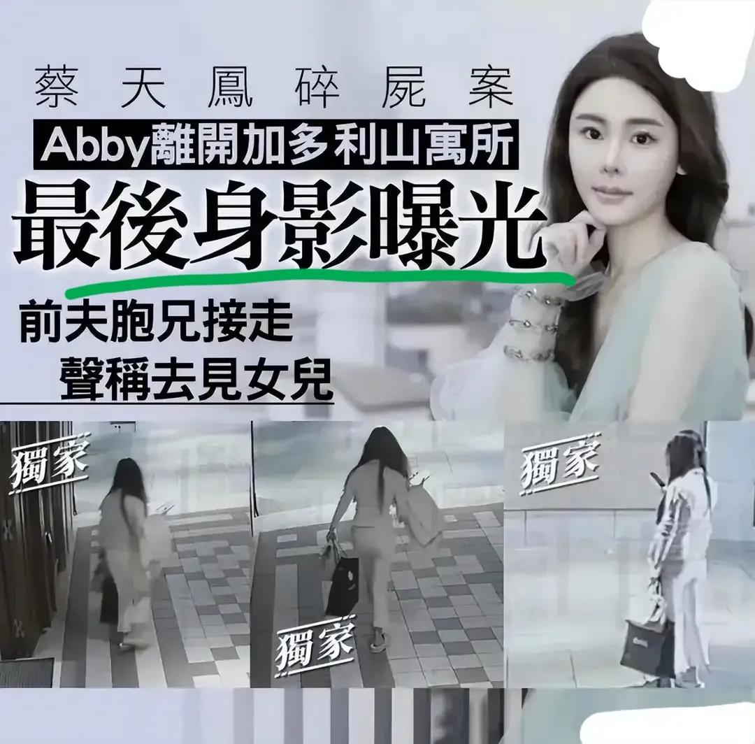 蔡天凤案件谈婚姻,蔡天凤丈夫和母亲