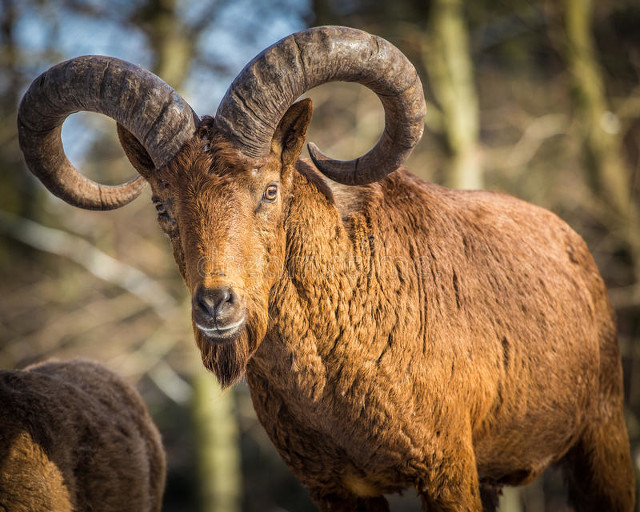 摩羯座和天蝎座谁城府深,摩羯座和天蝎座谁的气场更大
