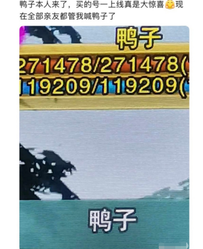 剑网三那些奇葩的id,剑网三最著名id