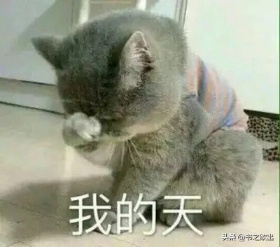 每日一字359,每日一字384