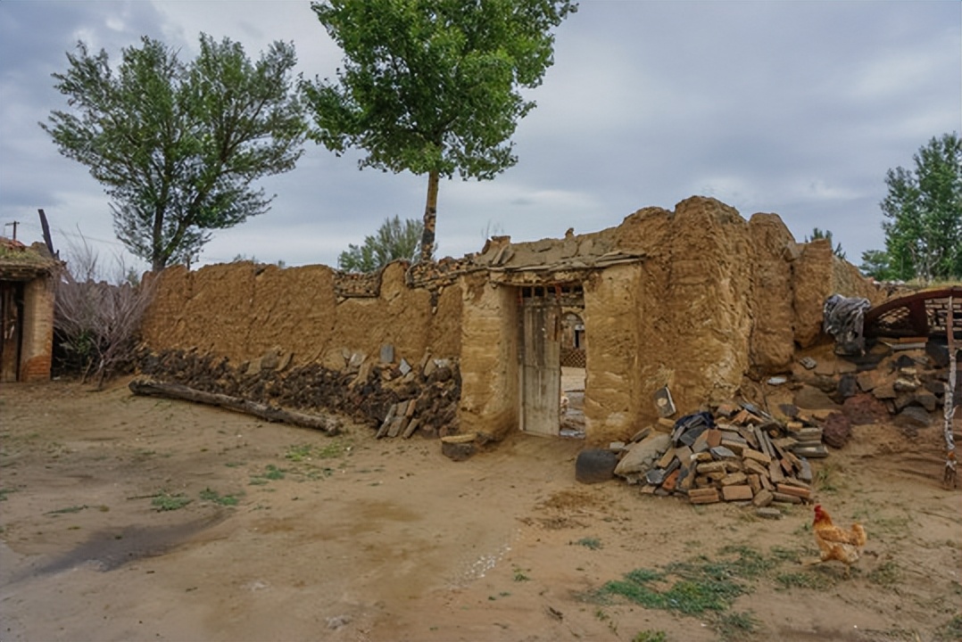 我亲身经历的社会事件作文,社会经历和感悟