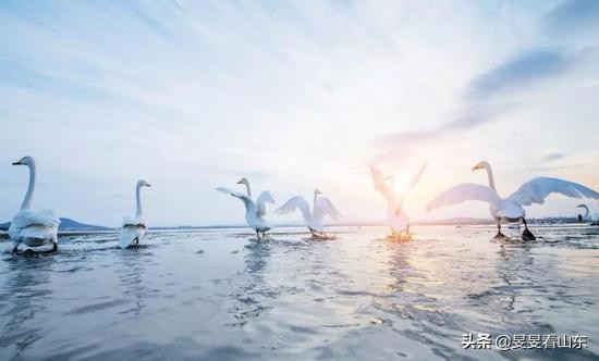 山东滨海城市荣成,山东宜居沿海城市排名