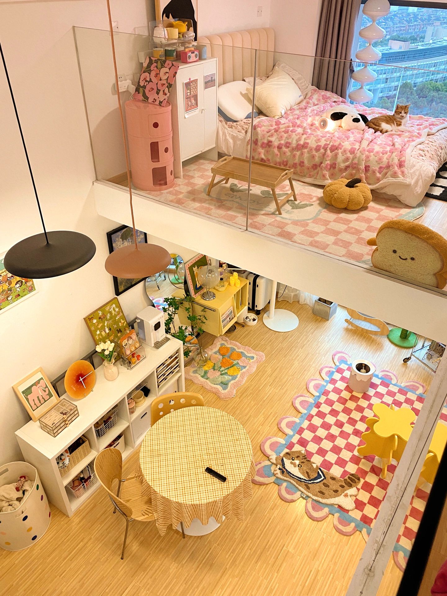 浙江女生晒出40㎡小家，独居养猫，日子过得惬意悠闲，令人羡慕