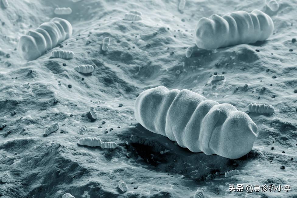 幽门螺杆菌是胃病的罪魁祸首吗,幽门螺杆菌一直治不好怎么办